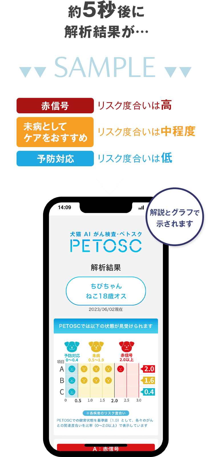 解析結果：サンプル