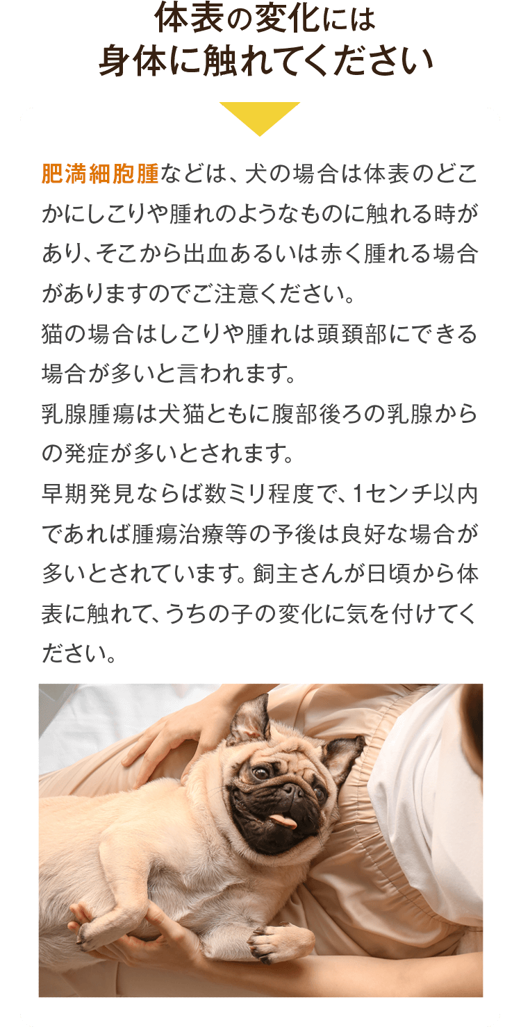 体表の変化には身体に触れてください